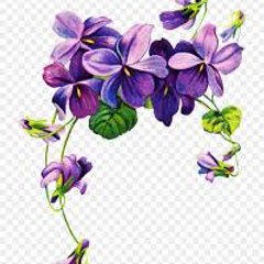 vintage violet online shopping india