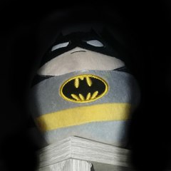 Bat-man Et Robine