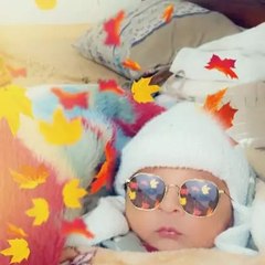 dm_94547f60d0a42606674dd6df54c71f35