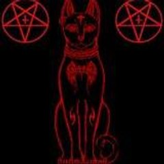 Black Cat