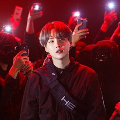 Tom y Jerry Español