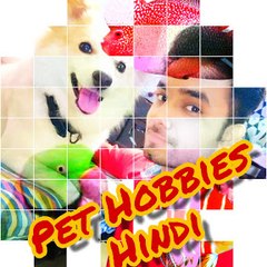 Pet Hobbies Hindi