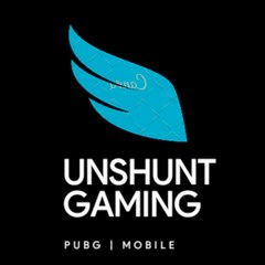 UNSHUNT  GAMING