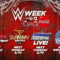 Wrestling World WWE
