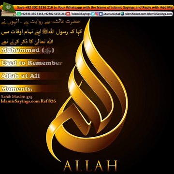 dm_550c60f8071e4713b849e5afb42dec87