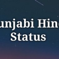 Punjabi Hindi Status