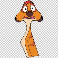 Timon and Pumba - Telugu All Episodes