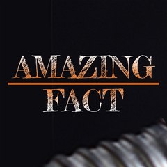 Amazing fact