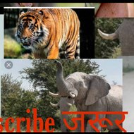 VK fun तंत्र