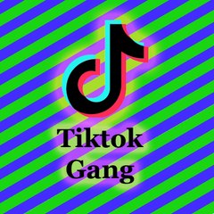 TikTokGang