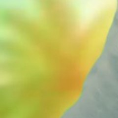 Spfnt