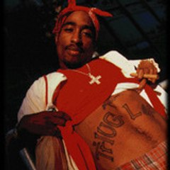 bombsbpimp