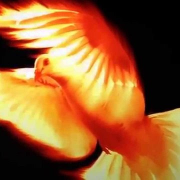 Walking The Narrow Way