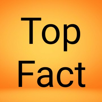 Top Fact