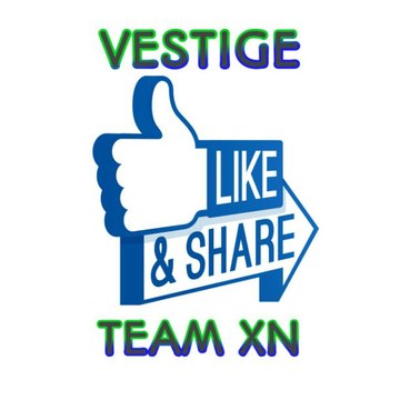 Vestige Team XN
