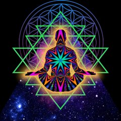 The Cosmic Library