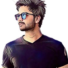 Mr. vini