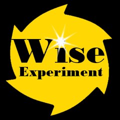 Wise Experiments