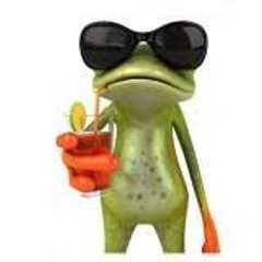 funny videos