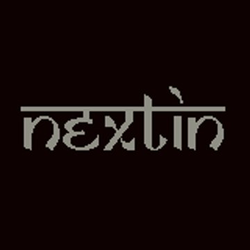 NextinTechnicaL