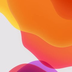 9xbuddy2