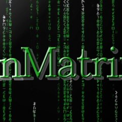 inMatrix