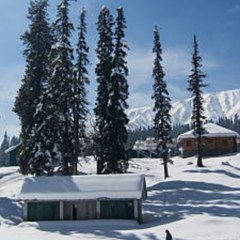 Kashmir View