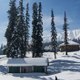 Kashmir View