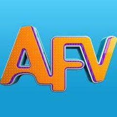 American funny videos