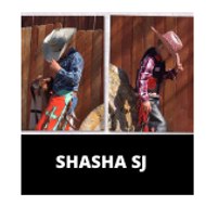 SHASHA SJ