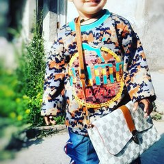 Aulakh vlogger