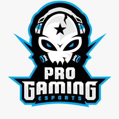 Pro Gaming