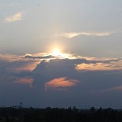 Uprari