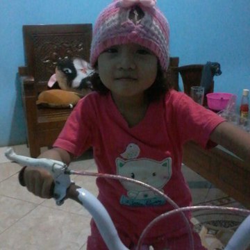 Anis Nur Laela