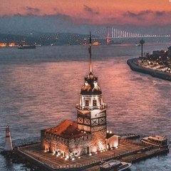 Daily Videos