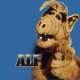 Alf Gordon
