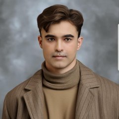 Shahid Mirza