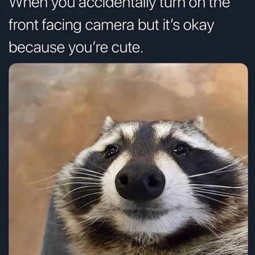 Memenda Memes