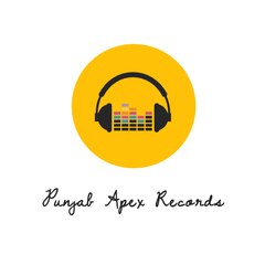 Punjab Apex Records