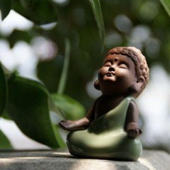 Vivek Singh Visuals
