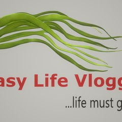 Easy Life Vlogger