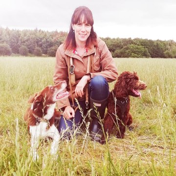 YORKSHIRE DOG WHISPERER