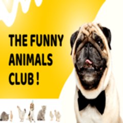 The Funny Animals Club !