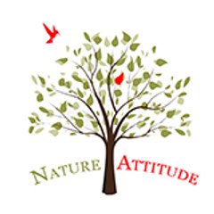 Nature attitude