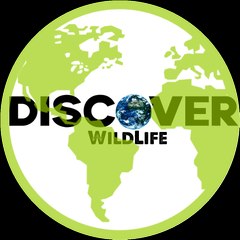 Discover Wildlife