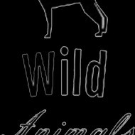 Wild Animal