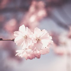 dm_27c7986121f3617b066115a68ea4a84d