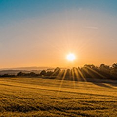 music and  entertainment