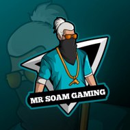 Mr soam Gaming