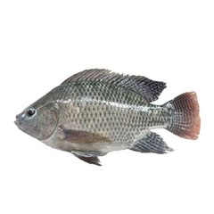 dm_eaa2ad3d0a14857845c123e3ab23bf4a